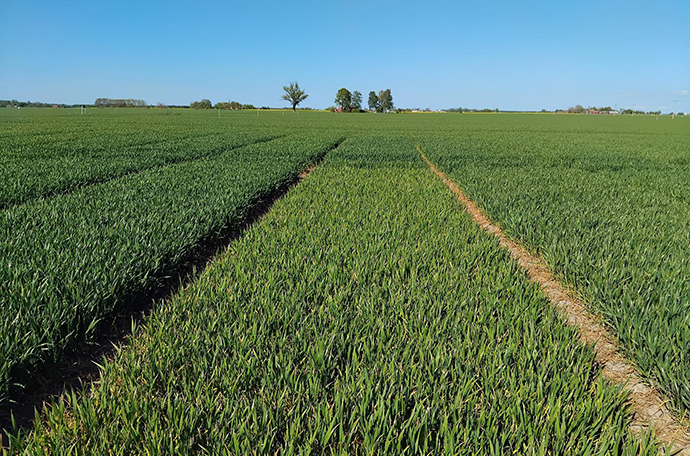 Lidk&ouml;ping f&auml;lt v 20