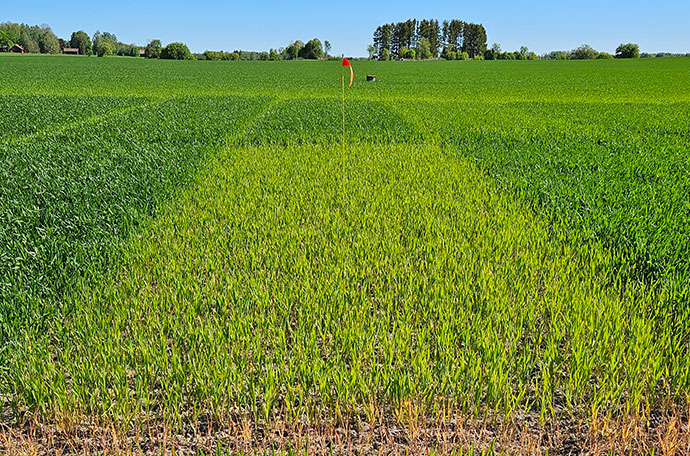 Nollruta &Ouml;rebro vecka 21