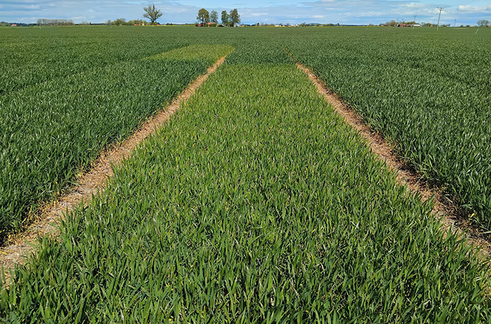 Lidk&ouml;ping v 19 f&auml;lt