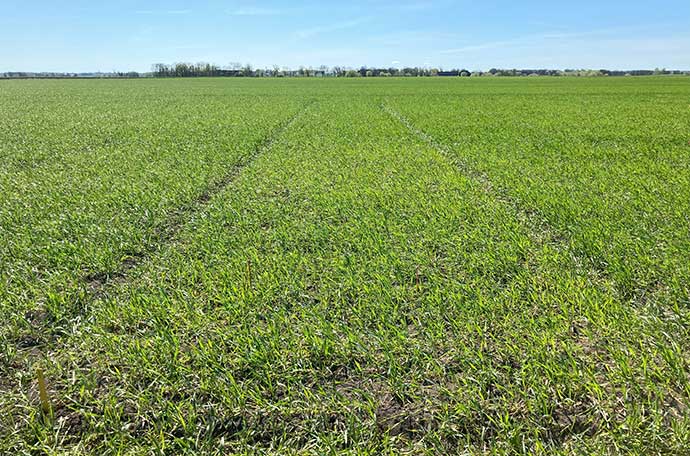 klockrike v 18 f&auml;lt