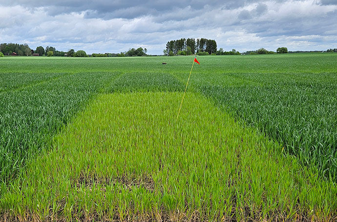 F&auml;ltet i &Ouml;rebro vecka 22