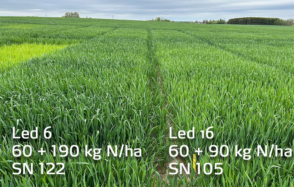 F&auml;lt i &Auml;ngelholm