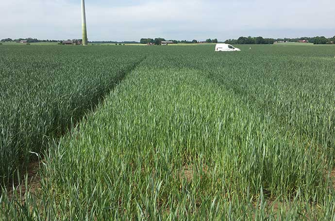 Nollruta i Klockrike