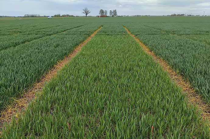 Nollruta i Lidk&ouml;ping v 18