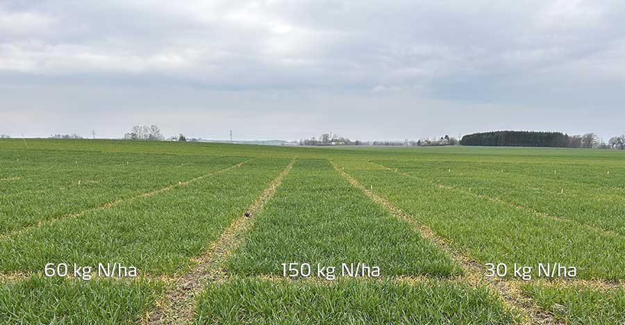 3 f&auml;lt i &Auml;ngelholm