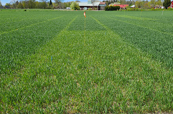 Nollruta V&auml;ster&aring;s