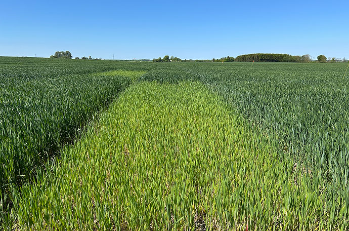 Nollruta &Auml;ngelholm