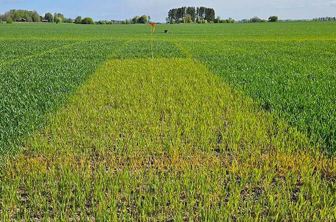 &Ouml;rebro f&auml;lt v 20