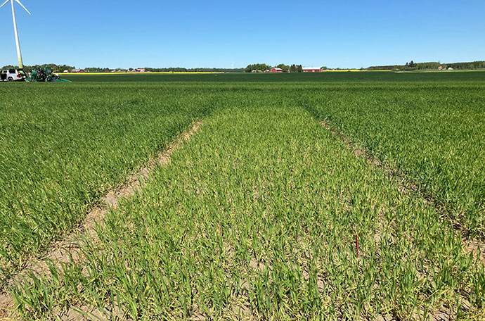 Nollruta i Klockrike vecka 21