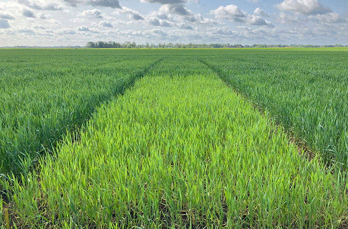 F&auml;lt klockrike vecka 23