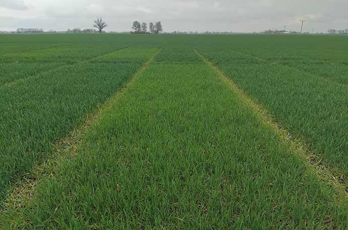 F&auml;lt Lidk&ouml;ping v 17