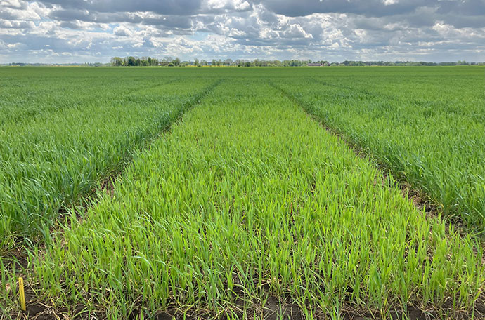 F&auml;lt vecka 22 i Klockrike