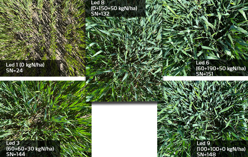 F&auml;lt i &Auml;ngelholm vecka 21