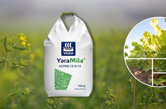 YaraMila KOMBI