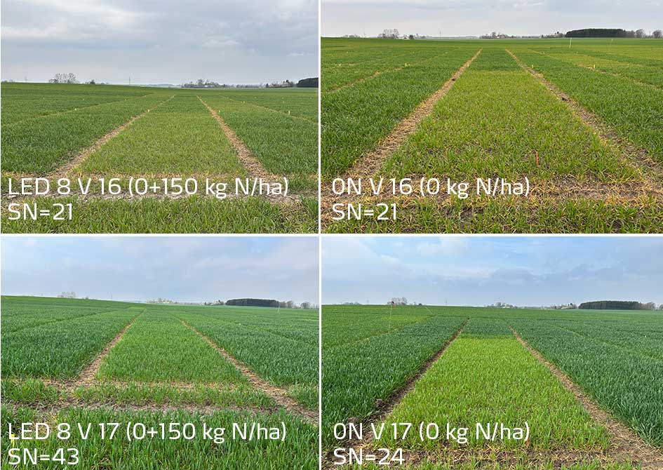 bilder p&aring; f&auml;lt