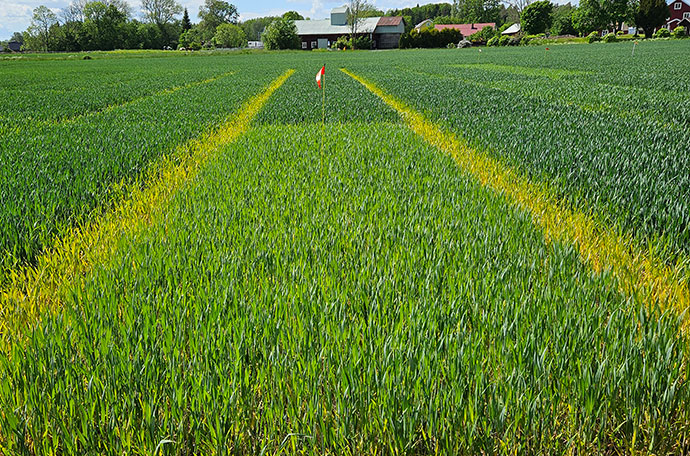 F&auml;ltet vecka 23 i V&auml;ster&aring;s