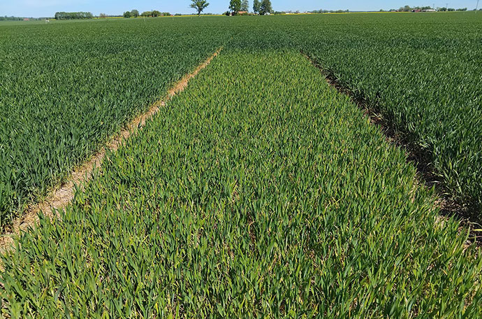 Nollruta Lidk&ouml;ping vecka 21