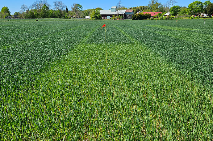 Nollruta i V&auml;ster&aring;s vecka 21